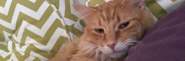 PaulGowder Profile Banner