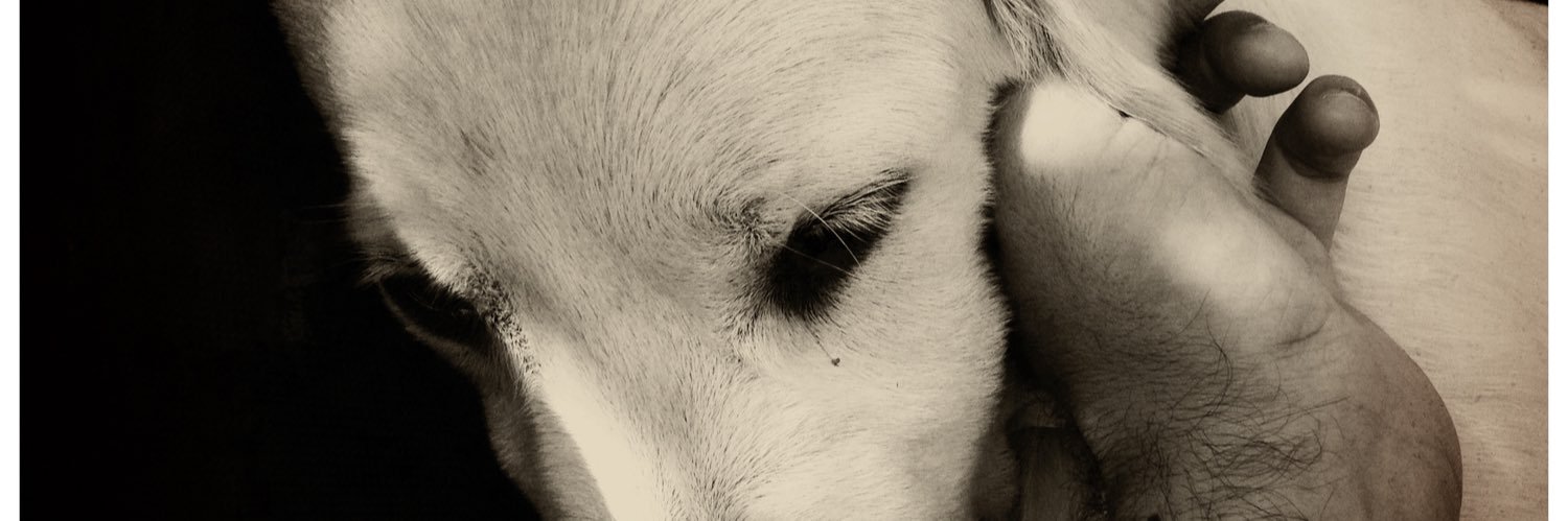 nachogoberna's profile banner image