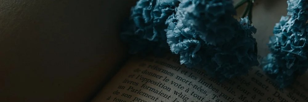 valgreen's profile banner image