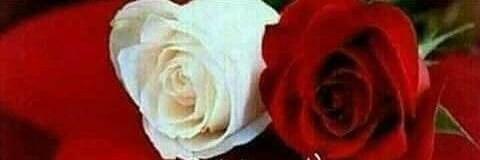 عادل السلمي banner