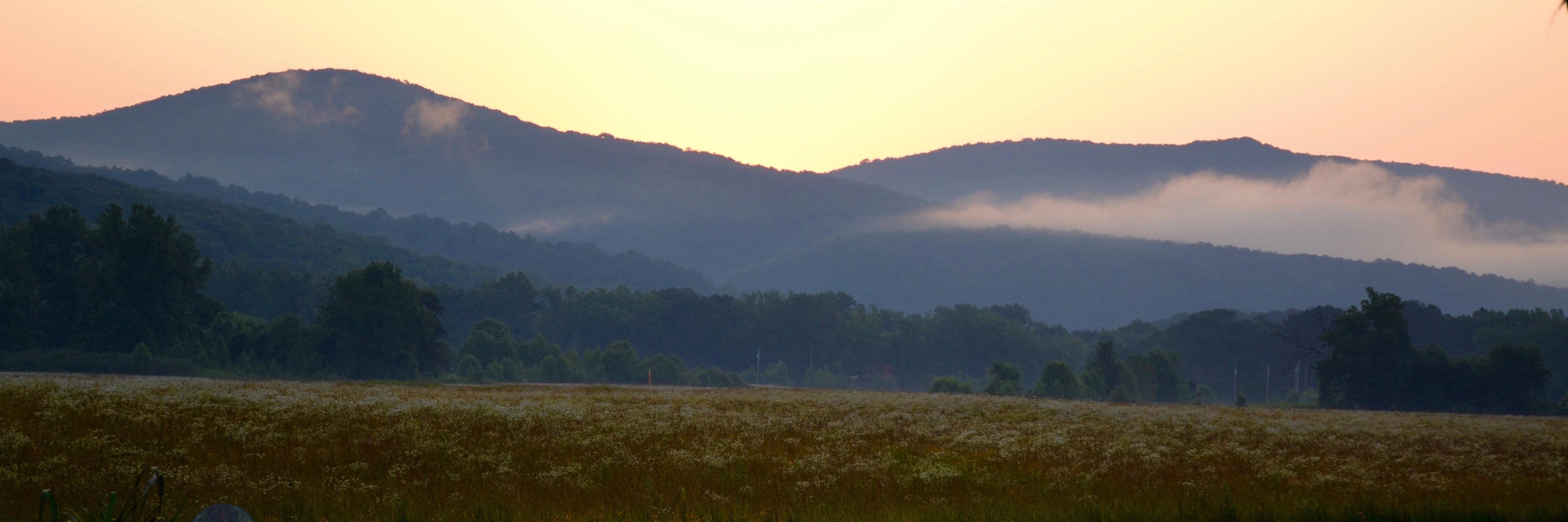 5sonsMedia's profile banner image