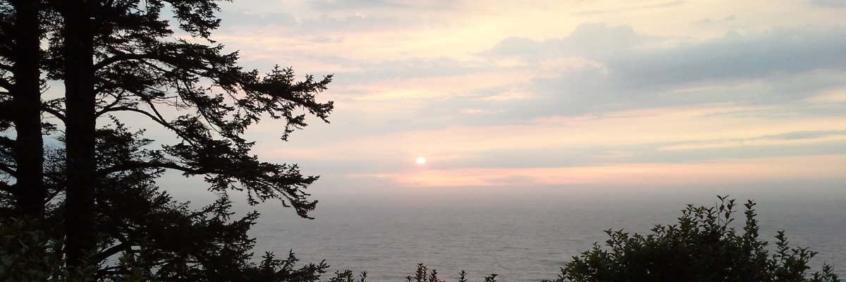 CaliginousKitsu's profile banner image