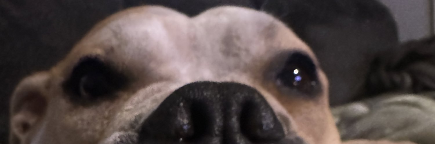 JasmineDoan1's profile banner image