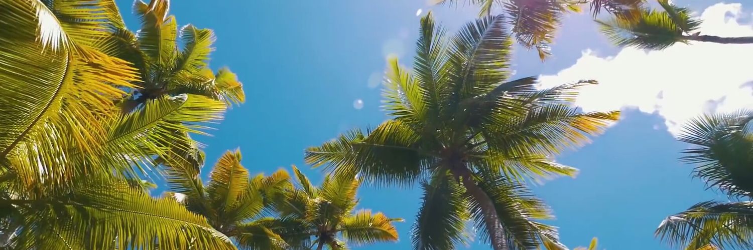 Lbhario's profile banner image