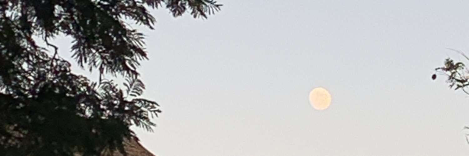 María banner