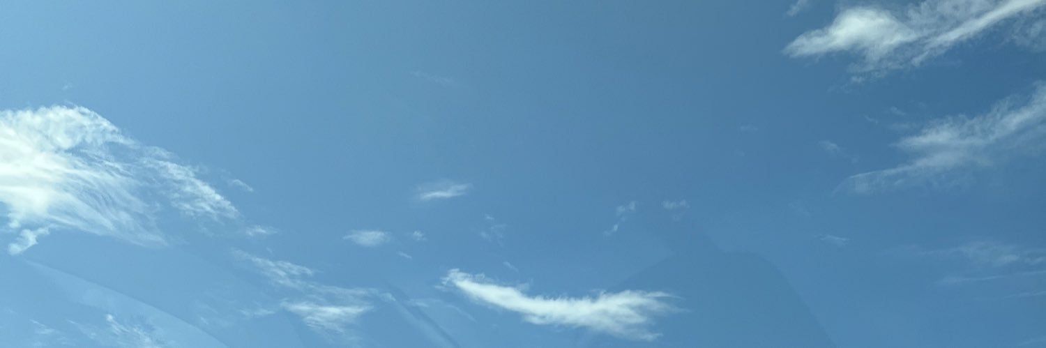 あれる@LFT🦭's banner