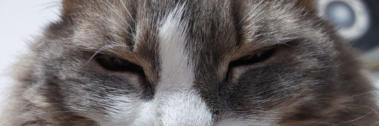 carolinact22's profile banner image