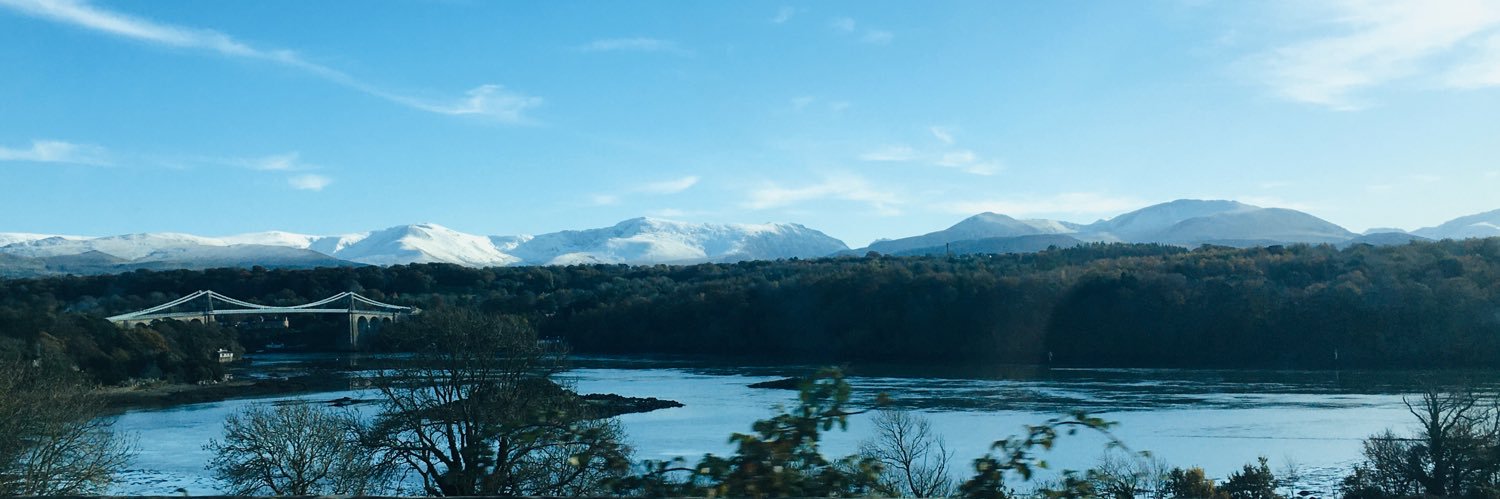 Plaid Cymru Ynys Môn banner
