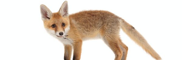 JohnMooreMuseum Profile Banner