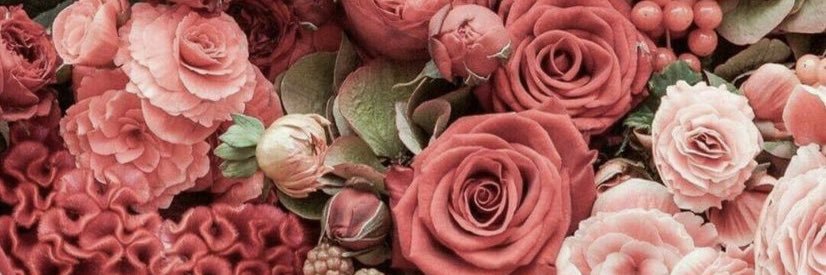 itselenaa00's profile banner image