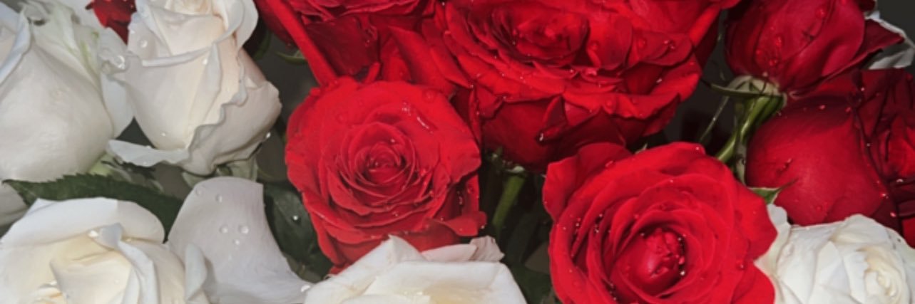 MssCadet's profile banner image