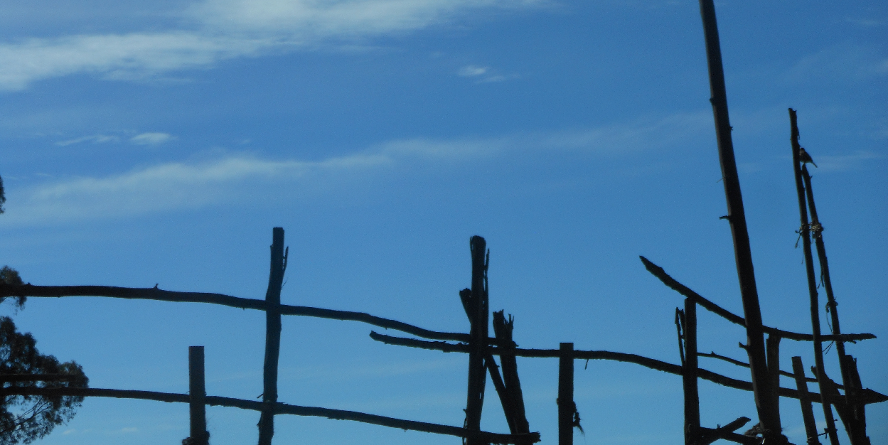 nniv266's profile banner image