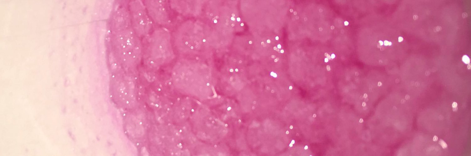 iDubb41's profile banner image