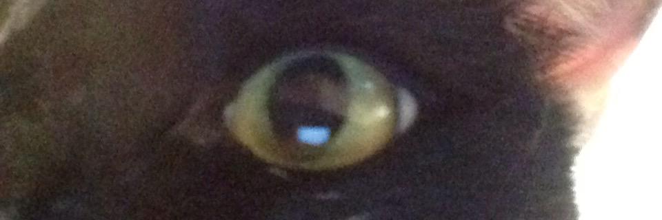 Jdancer1's profile banner image