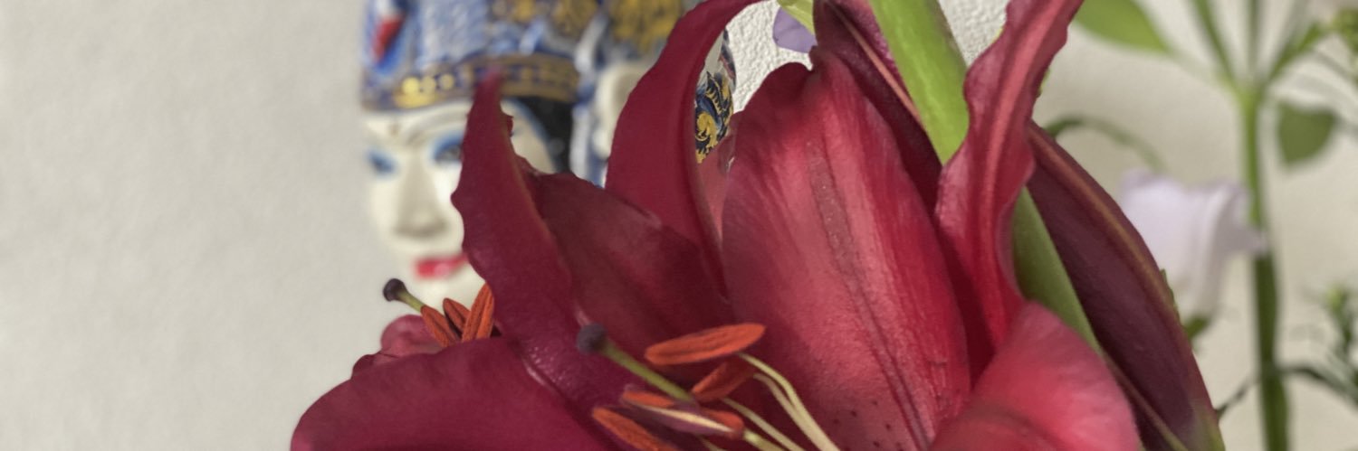 JudithEvertse's profile banner image