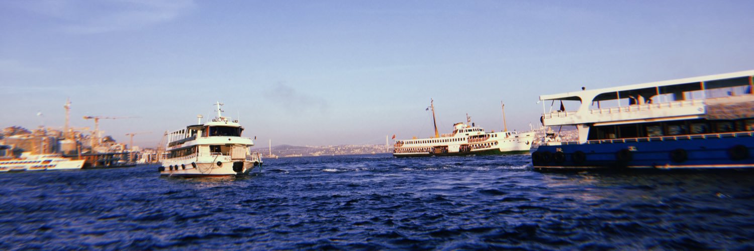 taaskinelif's profile banner image