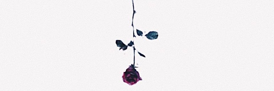 has_0817's profile banner image