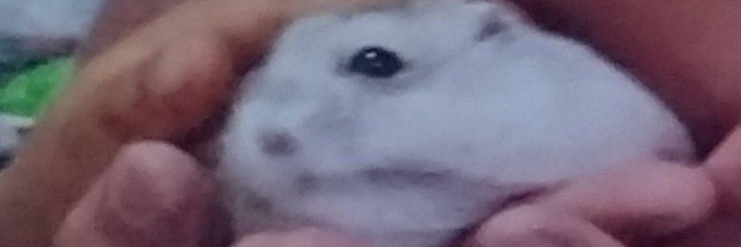 muramatukeidesu's profile banner image