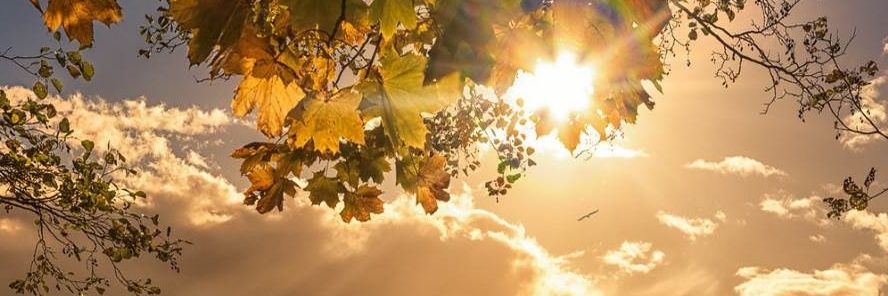 ohikwemi's profile banner image
