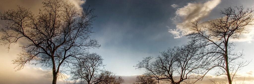 EF__ML's profile banner image