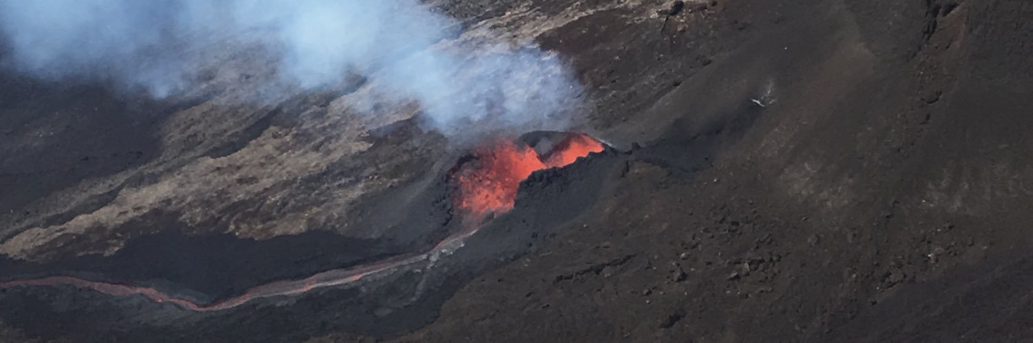 Laura Philippon banner