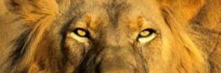 touscheOG's profile banner image