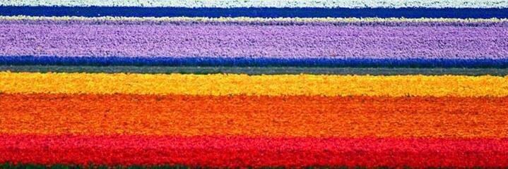 maryam__v's profile banner image