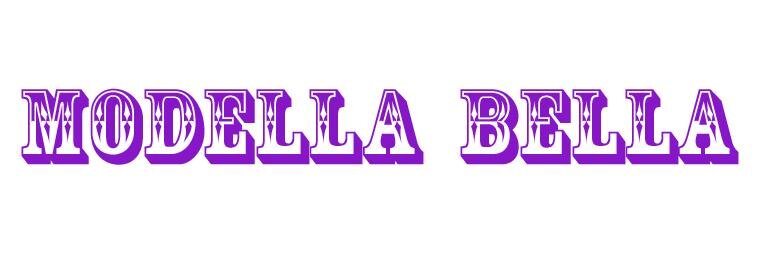 ModellaBella's profile banner image