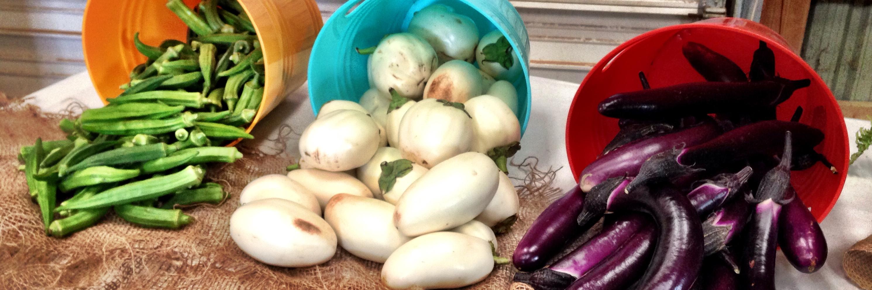 AgInnovation Ontario banner