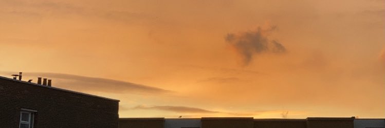 hernvato's profile banner image