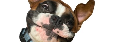 funeral_z's profile banner image