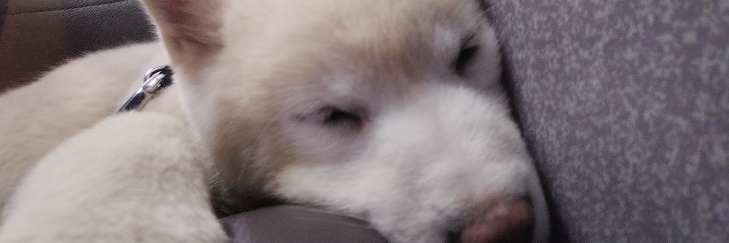 CeeDotBs4's profile banner image