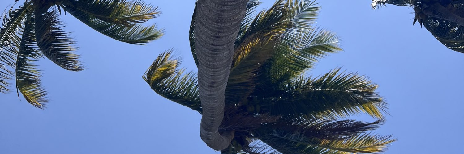 mnldana_'s profile banner image