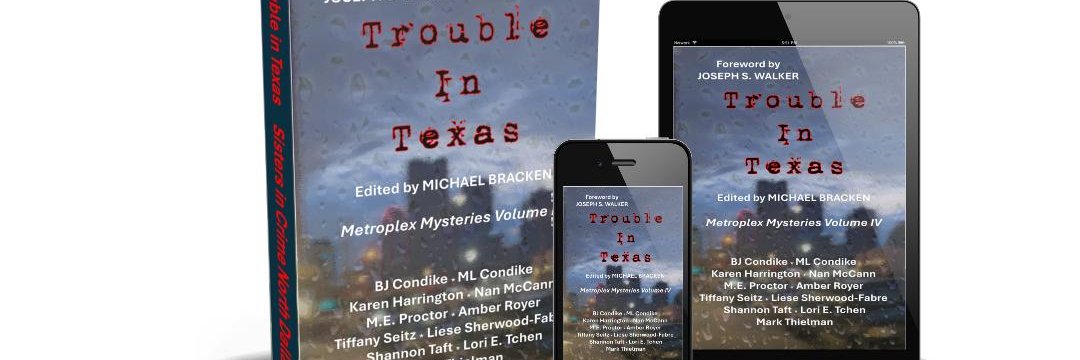 SinC North Dallas banner