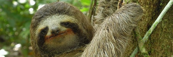 Propapandah Profile Banner