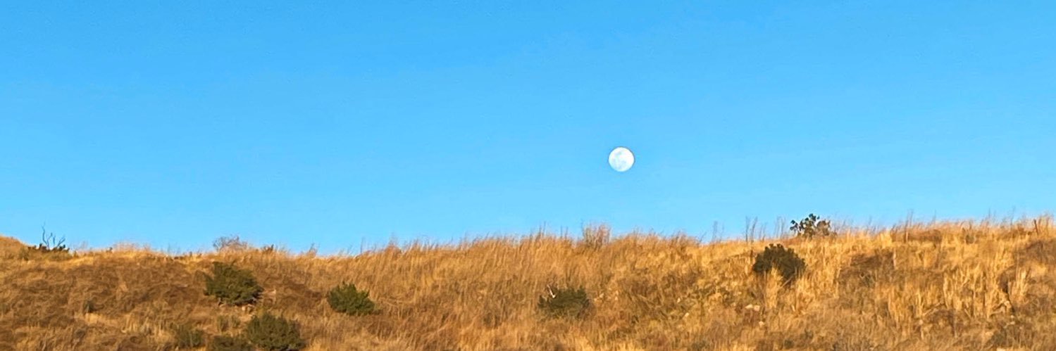 yoadriennek's profile banner image