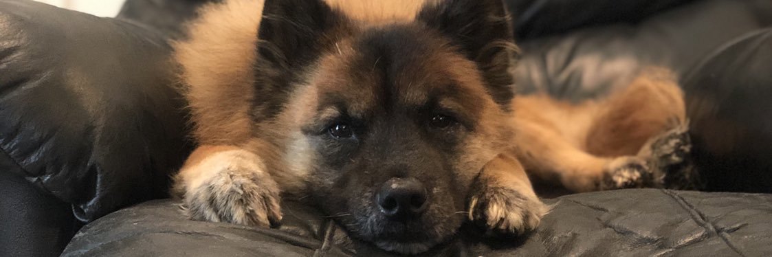 ANDANT_W's profile banner image