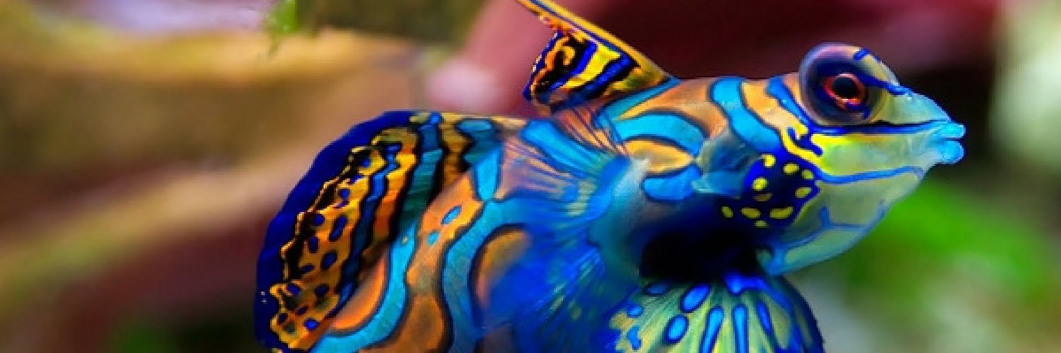 tonneslan's profile banner image