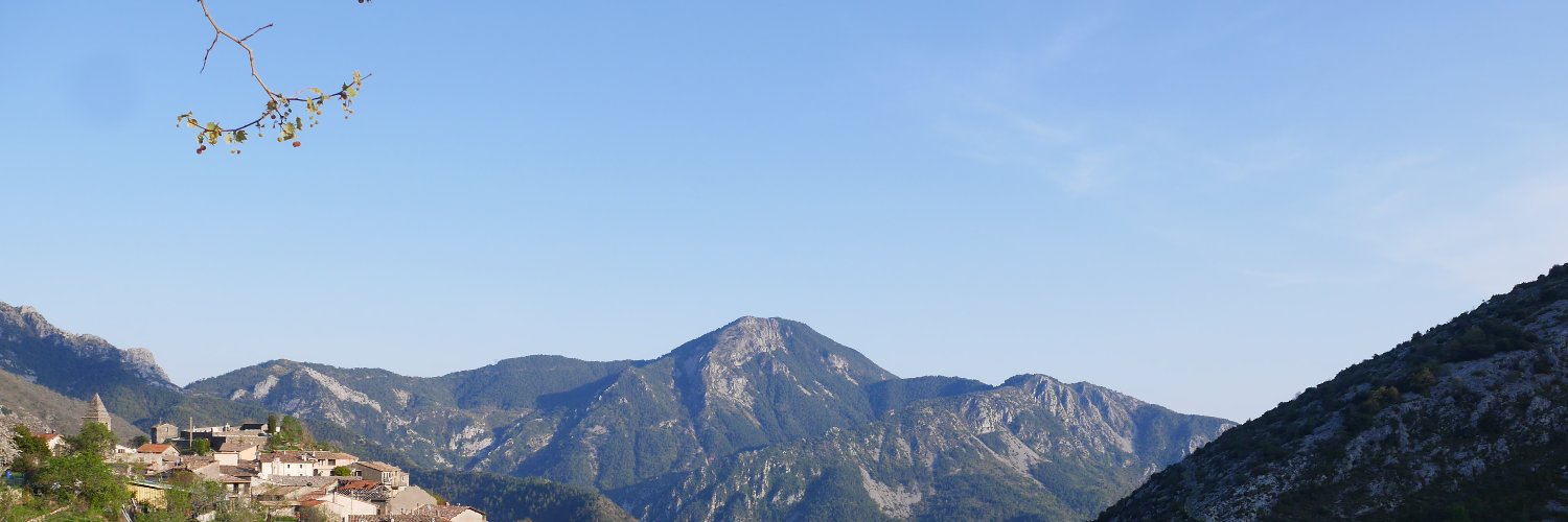 amdondo's profile banner image