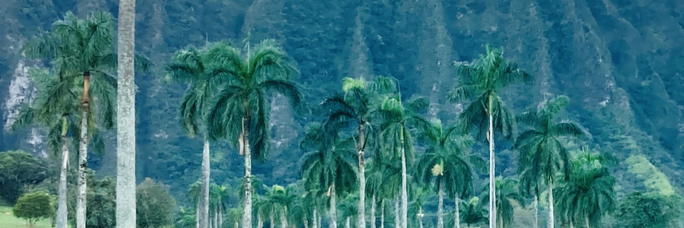 DebraKlompChing's profile banner image