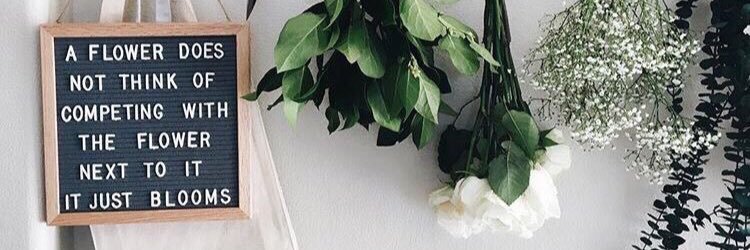 _kwebb's profile banner image