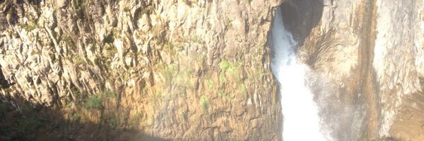 Dav_Bre Profile Banner