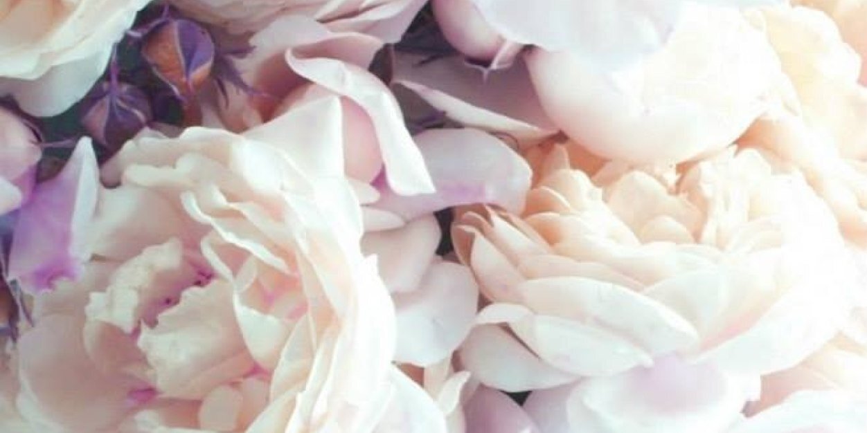 ninaminne's profile banner image