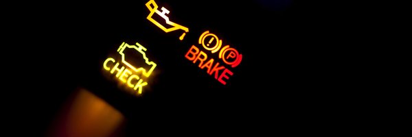 mycelnet Profile Banner