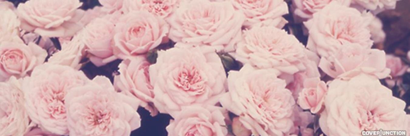 Sara banner