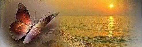 كيان🎼💛 banner