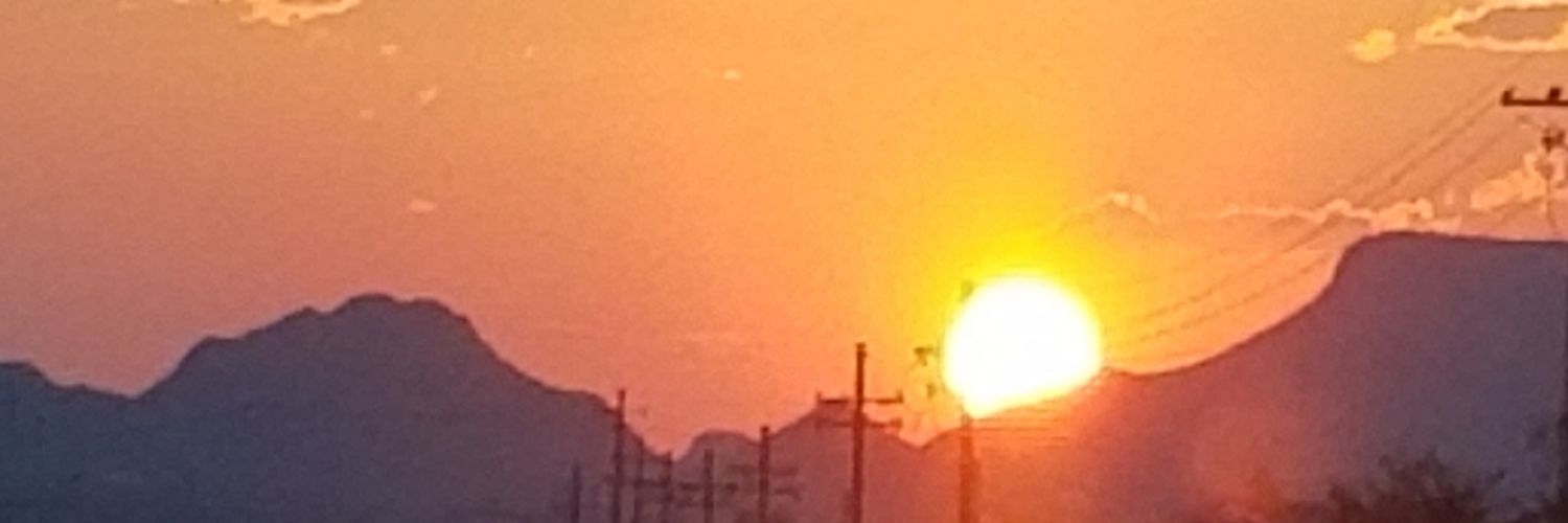 Peter Lewis 🇺🇲🇺🇦🌵 banner