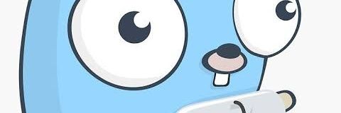 gopherikinci's profile banner image