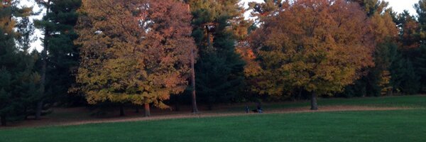 mesjuli Profile Banner