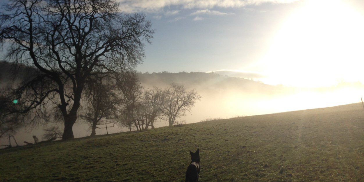 nigeljlloyd's profile banner image